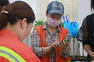 博大[粽情端午•关爱温馨同乐]